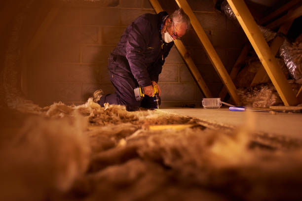 Best Geographic-Specific Insulation Services in Ironde, AL